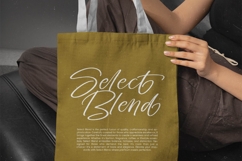 Chaydio Smith - Bold Handwritten Font Product Image 6
