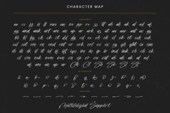 Chaydio Smith - Bold Handwritten Font Product Image 19