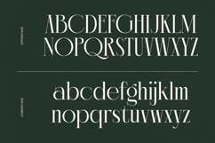 Chazero - Modern Alternate Serif Font Product Image 9