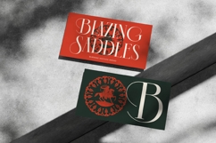 Chazero - Modern Alternate Serif Font Product Image 15