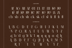Chazero - Modern Alternate Serif Font Product Image 19