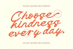 Check Unite - Modern Brush Font Product Image 9