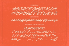 Check Unite - Modern Brush Font Product Image 17