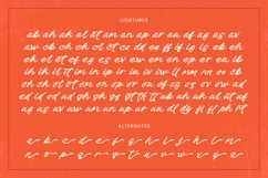 Check Unite - Modern Brush Font Product Image 19