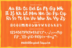 Cheeky Chunky - Sans Vibe Script Font Product Image 16