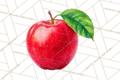 Everyday Objects Whimsical Clip Art PNG, Home Decor Clipart Product Image 2