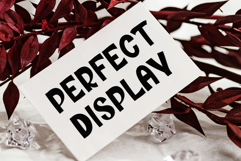 Cheese Sandwich Product Image 5