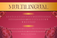 Chenolyta Product Image 11