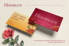 Chenolyta Product Image 9