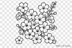 Black ink line art Cherry blossom coloring page PNG Flower Product Image 1
