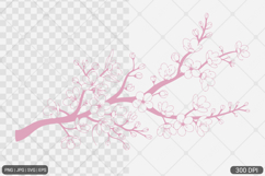Cherry Blossom SVG PNG Product Image 1