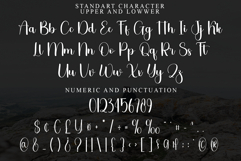 Cherry Christmas Product Image 4