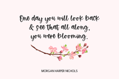 Cherry Grove Script Product Image 2