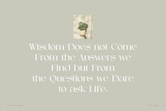 Chetta Vissto Product Image 8