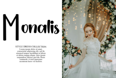 Chicago Christmas Product Image 2