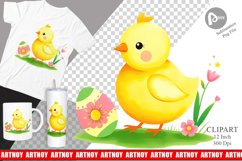 Chick and Egg Clipart Product Image 1