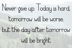 Chicken hawk Product Image 4