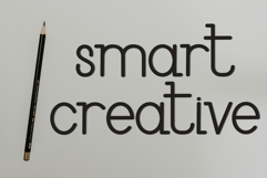 Chicken hawk Product Image 8