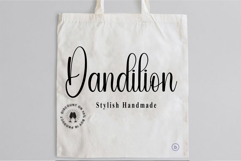 Chicken Homemade Product Image 7