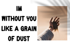 Chicken Kitchen Product Image 3