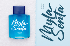 Chifest Skater - Bold Handwritten Font Product Image 2