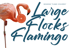 Chifest Skater - Bold Handwritten Font Product Image 6