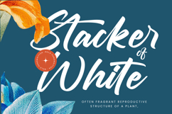 Chifest Skater - Bold Handwritten Font Product Image 9