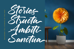 Chifest Skater - Bold Handwritten Font Product Image 13