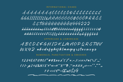 Chifest Skater - Bold Handwritten Font Product Image 18