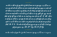 Chifest Skater - Bold Handwritten Font Product Image 19