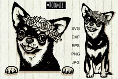 Chihuahua with flowers svg, dog breed Shirt design clipart Product Image 1