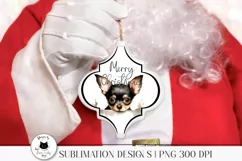 santa holding christmas ornament with peeking chihuahua dog 