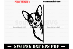 Peering Chihuahua Dog SVG PNG DXF EPS PDF Product Image 1