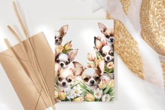 Chihuahua bundle Product Image 3