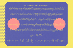 Chill Fresh - Modern Handwritten Font Product Image 14