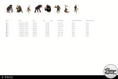 Chimpanzee Vintage Animal illustration Clip Art, Clipart Product Image 2