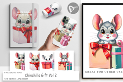 Digital Paper Chinchilla Gift Product Image 1