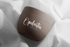 Chinstrap Stucky - Bold Brush Font Product Image 5