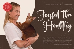 Chinstrap Stucky - Bold Brush Font Product Image 7