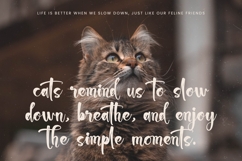 Chinstrap Stucky - Bold Brush Font Product Image 8