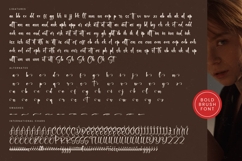 Chinstrap Stucky - Bold Brush Font Product Image 19