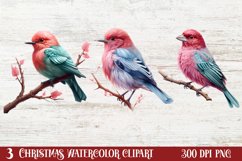 Christmas Birds Clipart , Christmas Birds Clipart Product Image 1