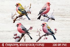 Christmas Birds Clipart , Christmas Birds Clipart Product Image 1