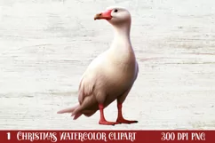 Christmas Birds Clipart , Christmas Birds Clipart Product Image 1