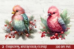 Christmas Birds Clipart , Christmas Birds Clipart Product Image 1