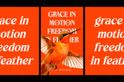 Choarll - New Modern Serif Font Product Image 3