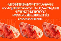 Choarll - New Modern Serif Font Product Image 18