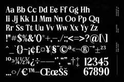 Choarll - New Modern Serif Font Product Image 19