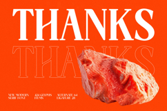 Choarll - New Modern Serif Font Product Image 20