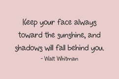 Chocolate Bar Sans Product Image 6